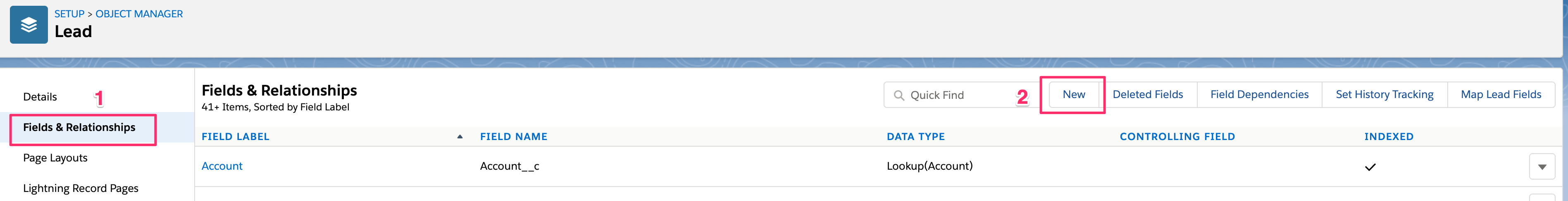 Lead___Salesforce.png